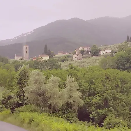 Casale Delle Camelie Capannori