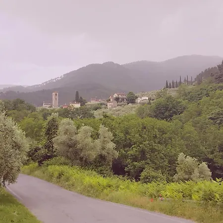 Villa Casale Delle Camelie