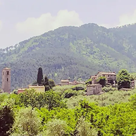Villa Casale Delle Camelie