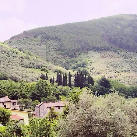Casale Delle Camelie