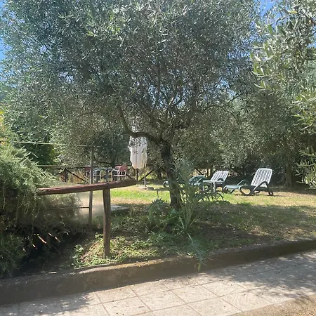 Casale Delle Camelie Capannori