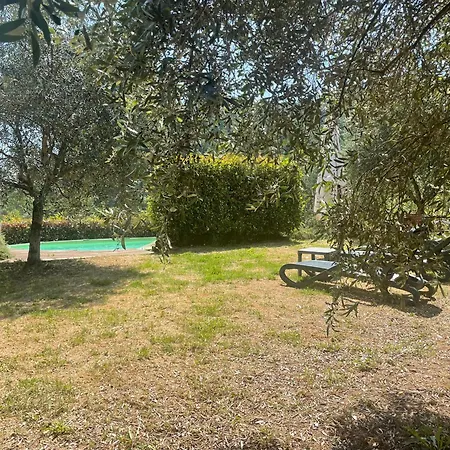 Casale Delle Camelie