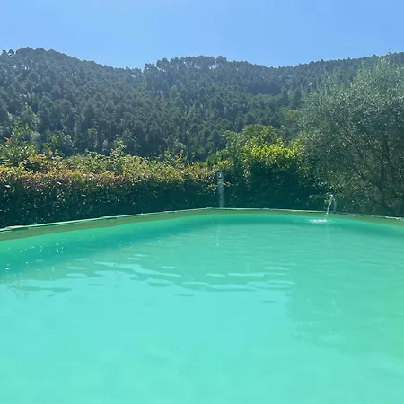 Casale Delle Camelie