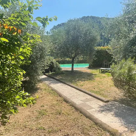 Casale Delle Camelie